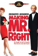 Making Mr. Right